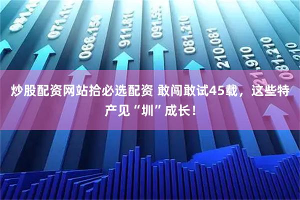 炒股配资网站拾必选配资 敢闯敢试45载,这些特产见“圳”成长!