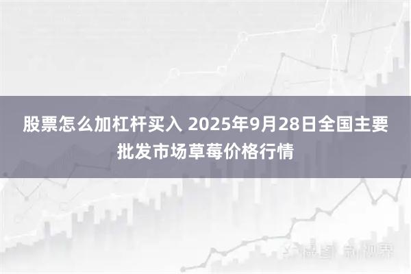 股票怎么加杠杆买入 2025年9月28日全国主要批发市场草莓价格行情