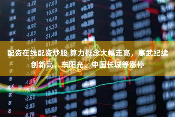 配资在线配资炒股 算力概念大幅走高，寒武纪续创新高，东阳光、中国长城等涨停